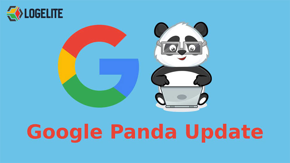  Guide on Google Panda Update